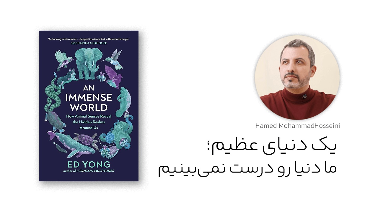 یک دنیای عظیم؛ ما دنیا رو درست نمیبینیم